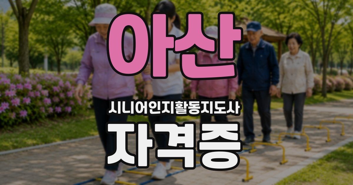 아산 시니어인지활동지도사 자격증