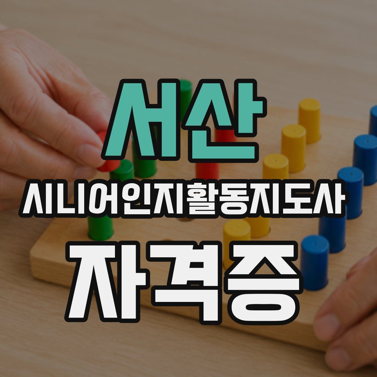 서산 시니어인지활동지도사 자격증