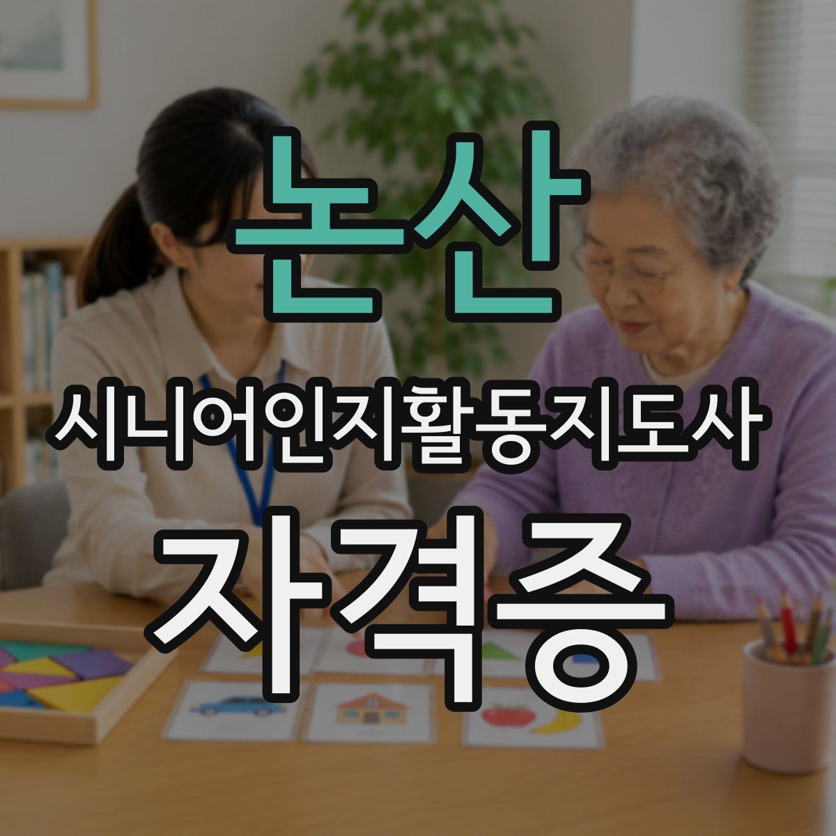 논산 시니어인지활동지도사 자격증
