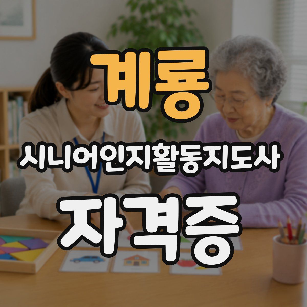 계룡 시니어인지활동지도사 자격증