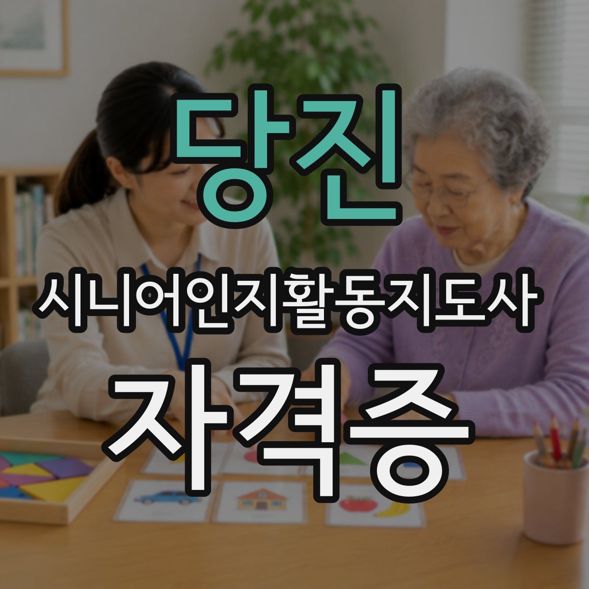 당진 시니어인지활동지도사 자격증