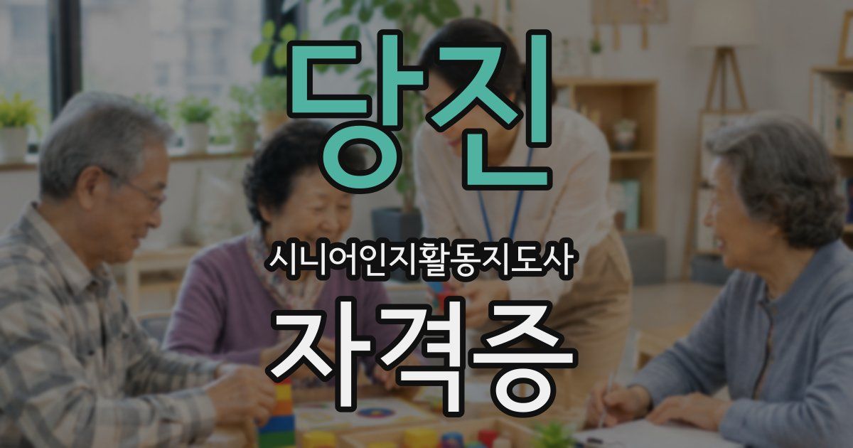 당진 시니어인지활동지도사 자격증