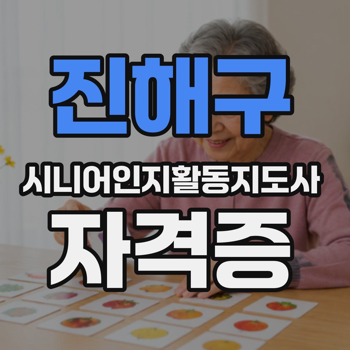 진해구 시니어인지활동지도사 자격증