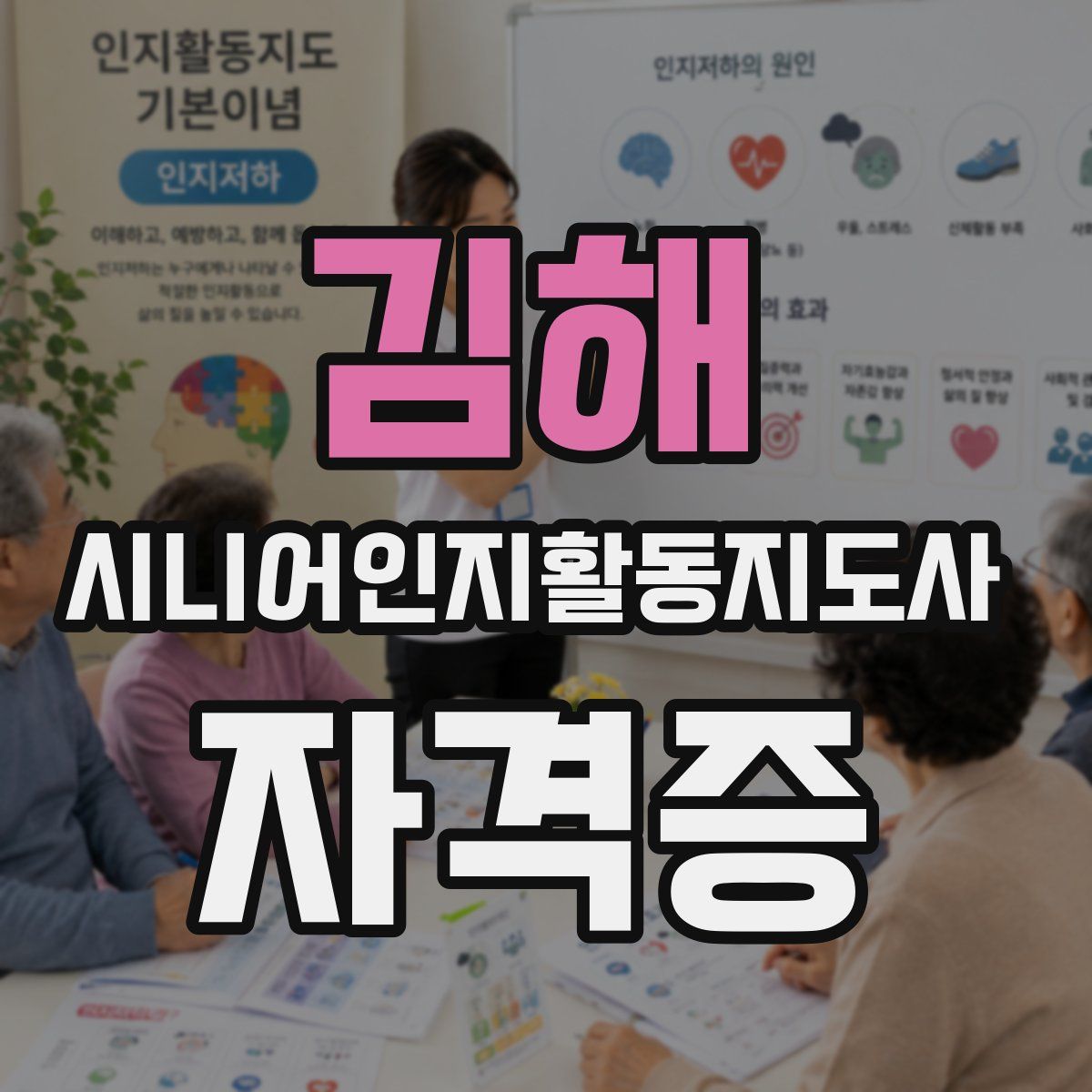 김해 시니어인지활동지도사 자격증