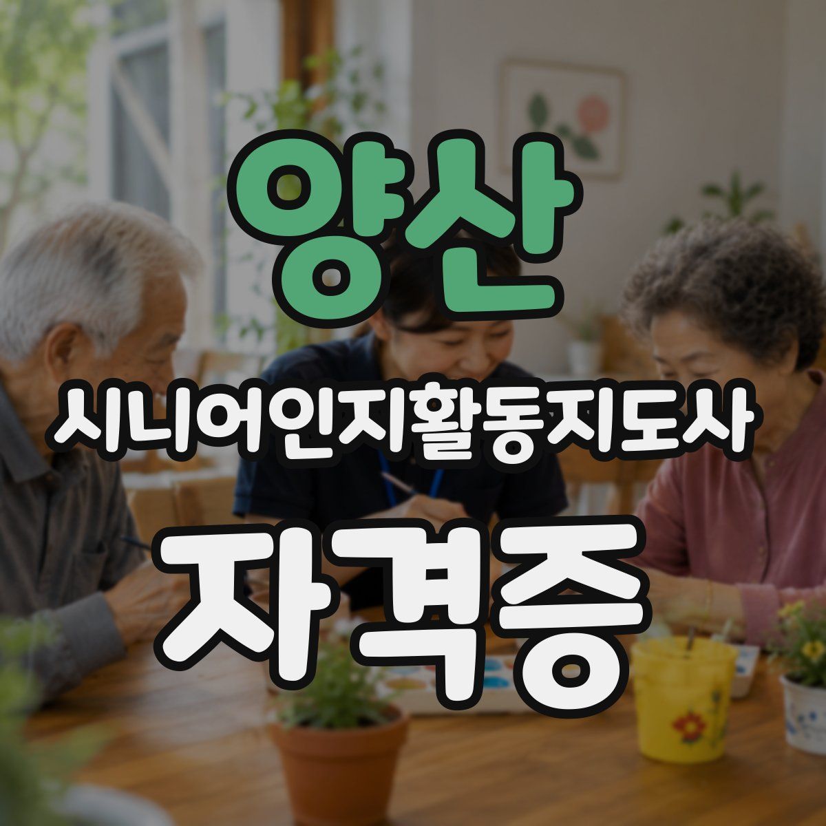 양산 시니어인지활동지도사 자격증