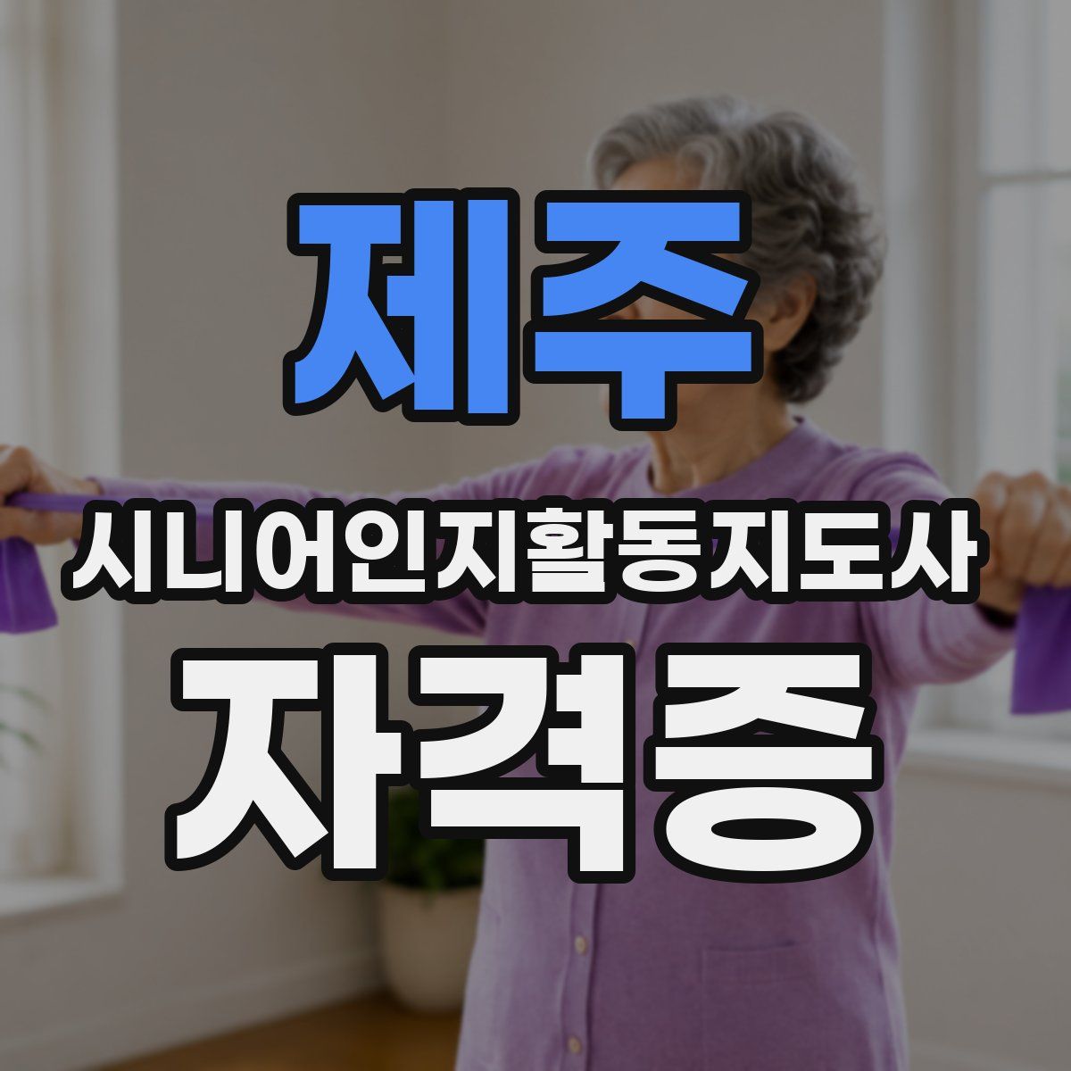제주 시니어인지활동지도사 자격증
