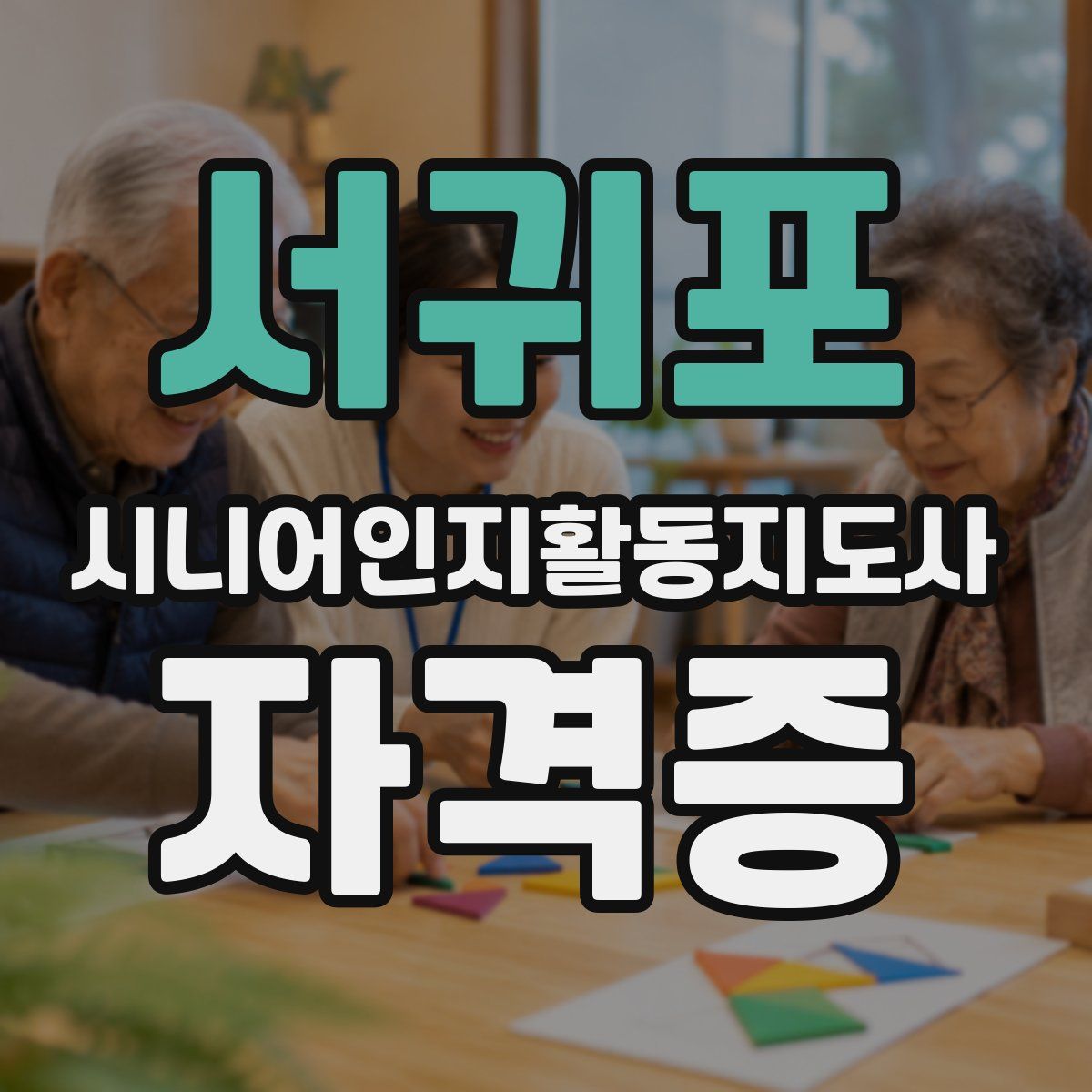 서귀포 시니어인지활동지도사 자격증