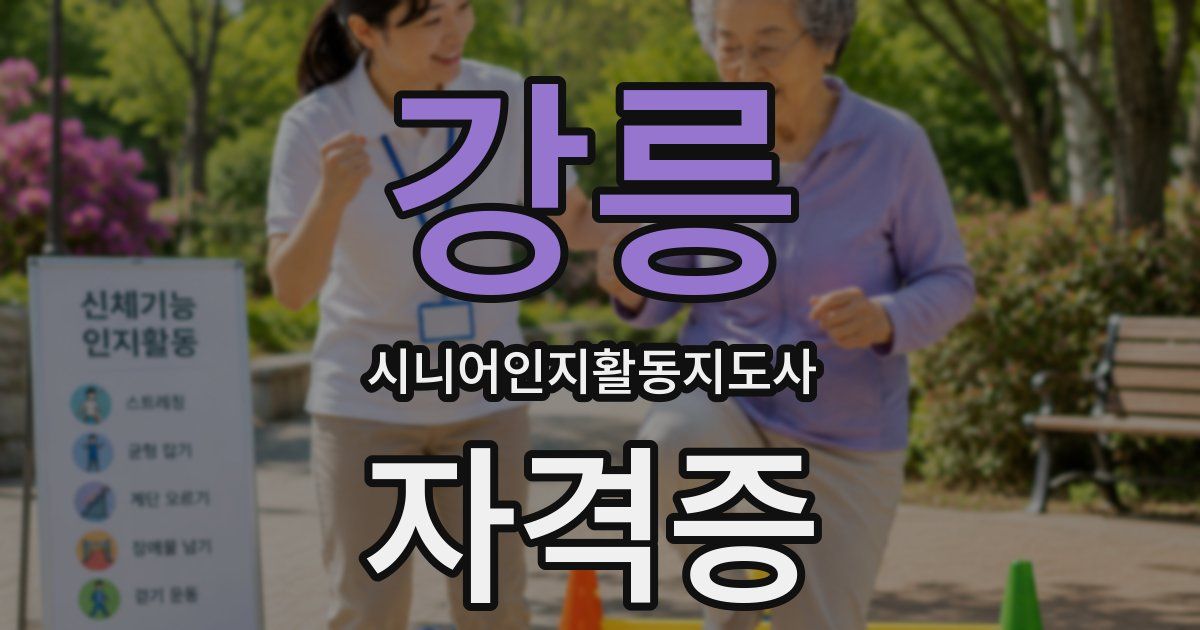 강릉 시니어인지활동지도사 자격증