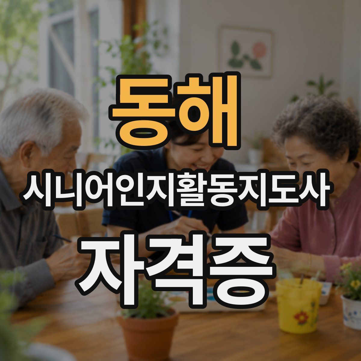 동해 시니어인지활동지도사 자격증
