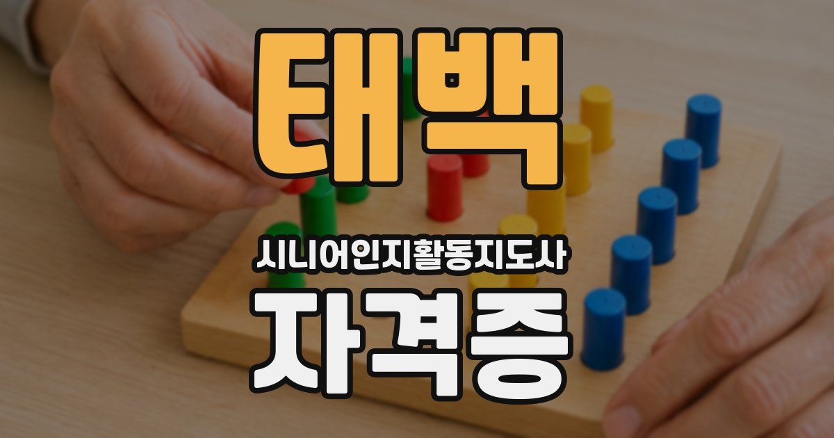 태백 시니어인지활동지도사 자격증