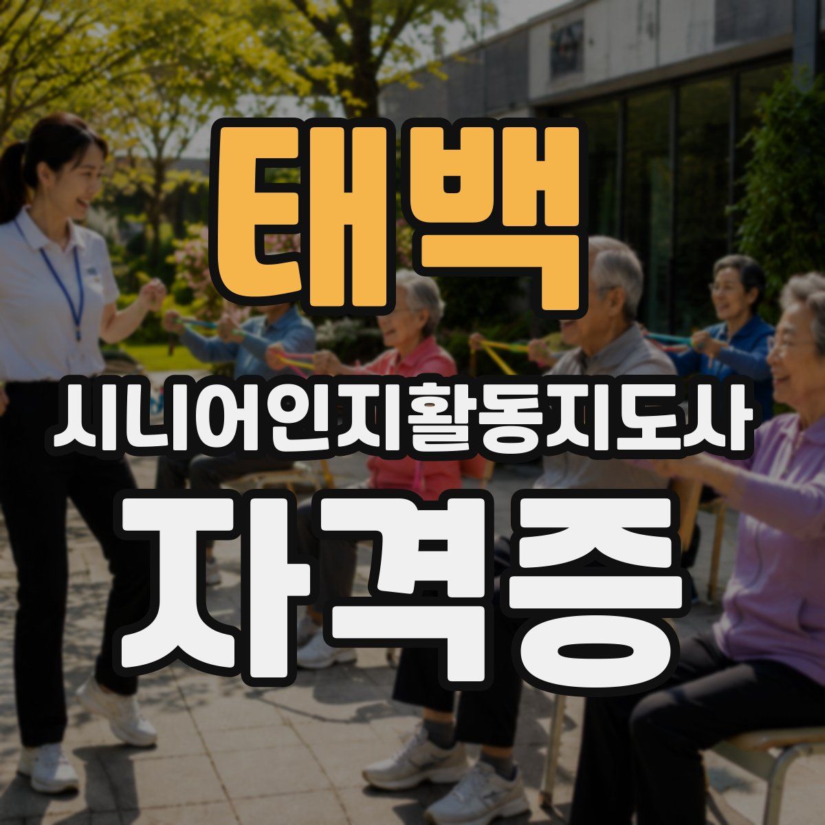 태백 시니어인지활동지도사 자격증