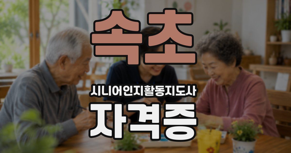 속초 시니어인지활동지도사 자격증