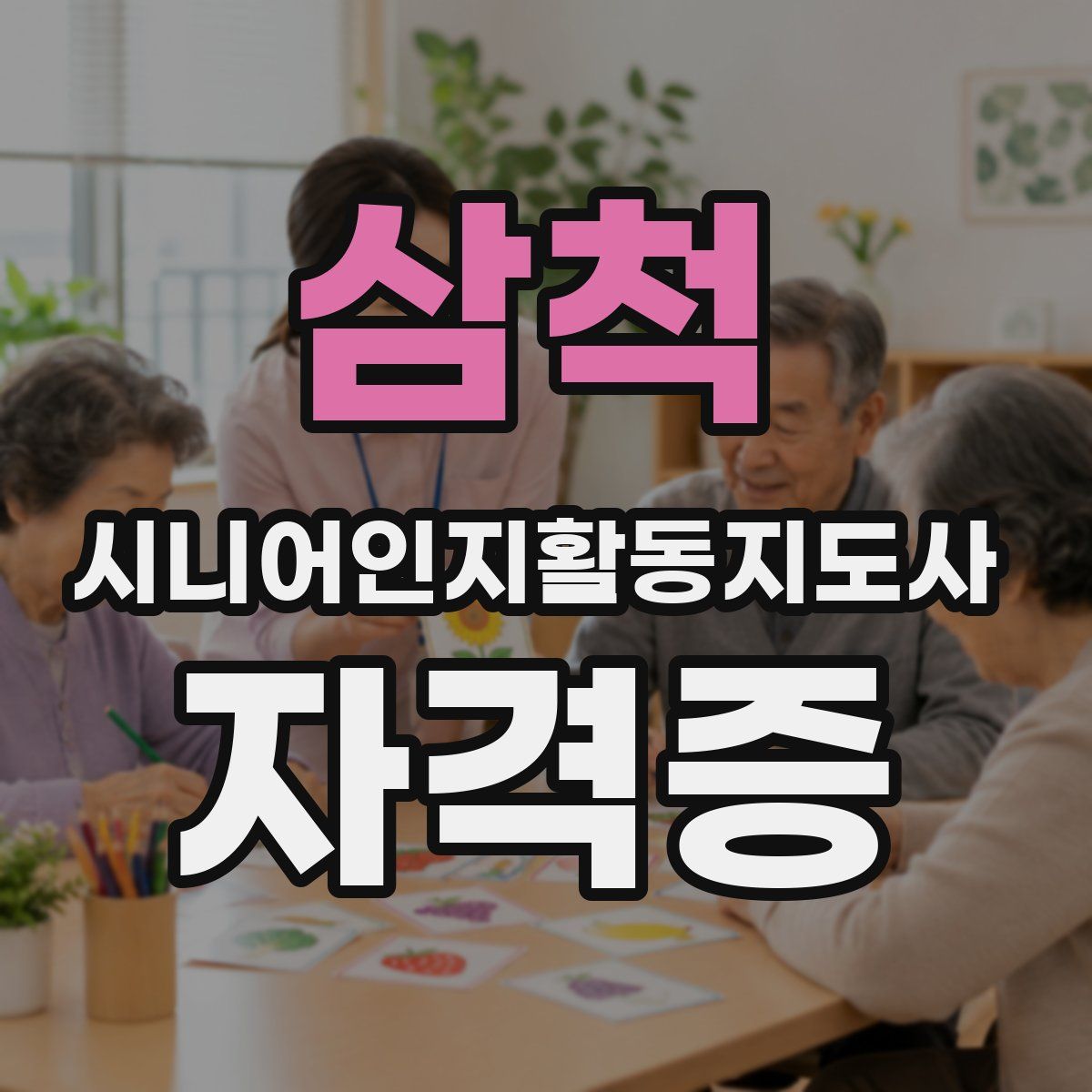 삼척 시니어인지활동지도사 자격증