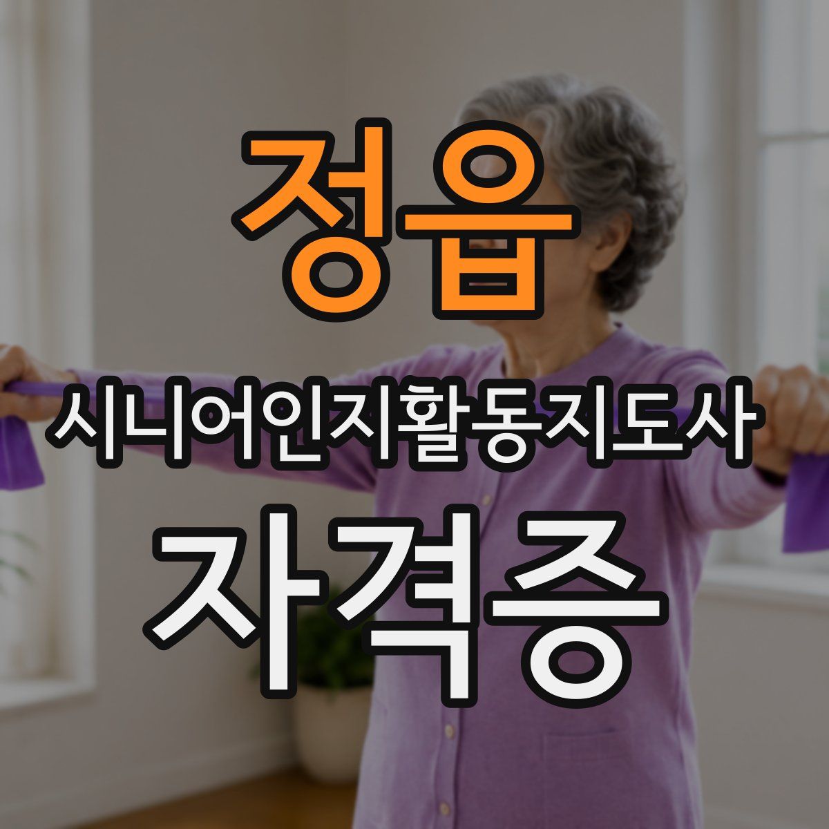 정읍 시니어인지활동지도사 자격증