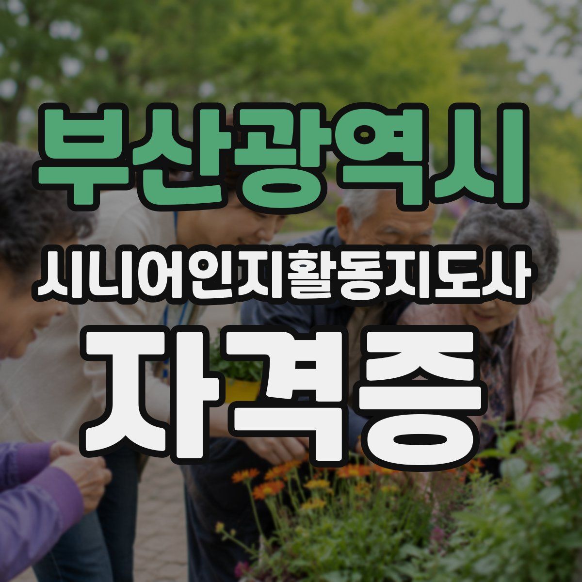 부산광역시 시니어인지활동지도사 자격증