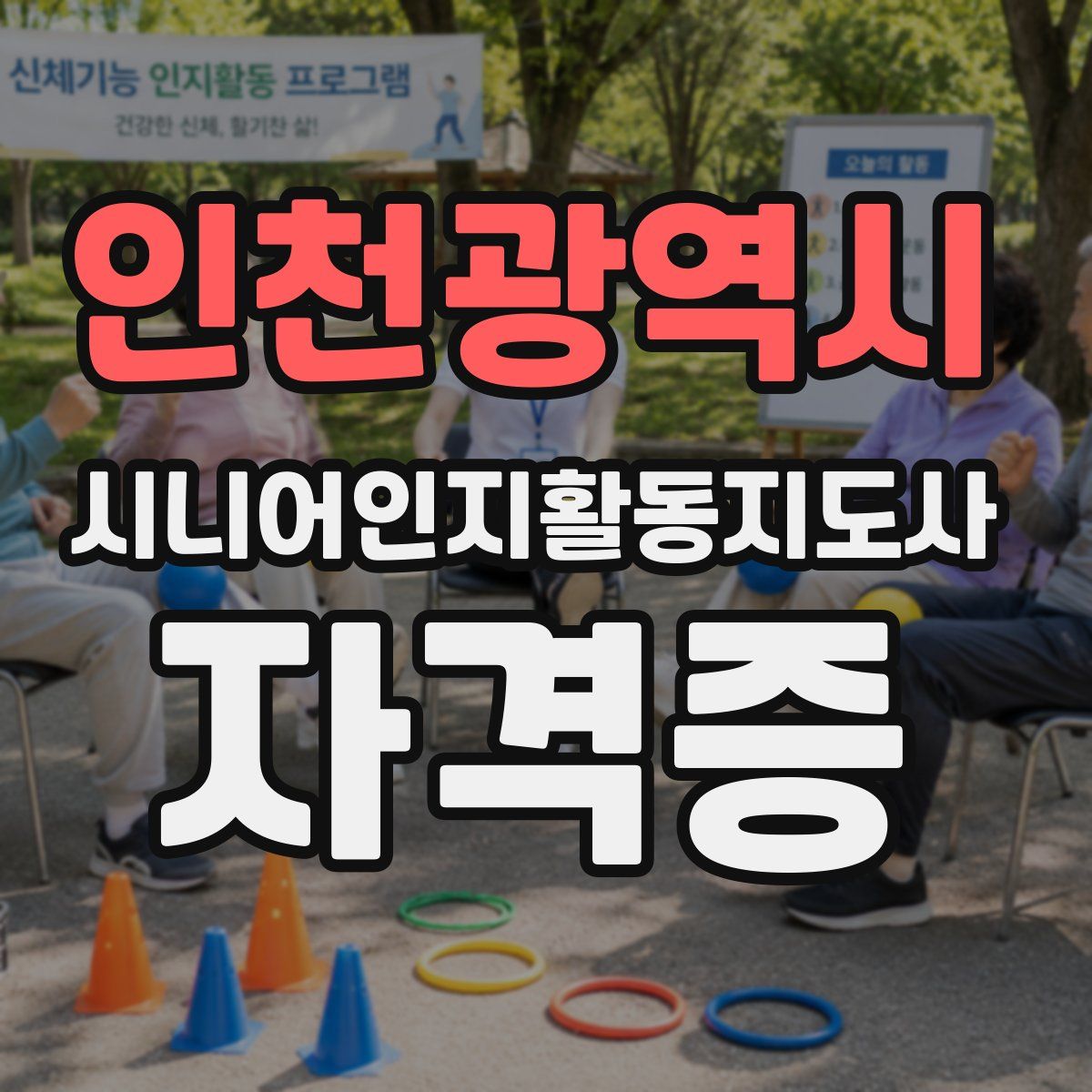 인천광역시 시니어인지활동지도사 자격증