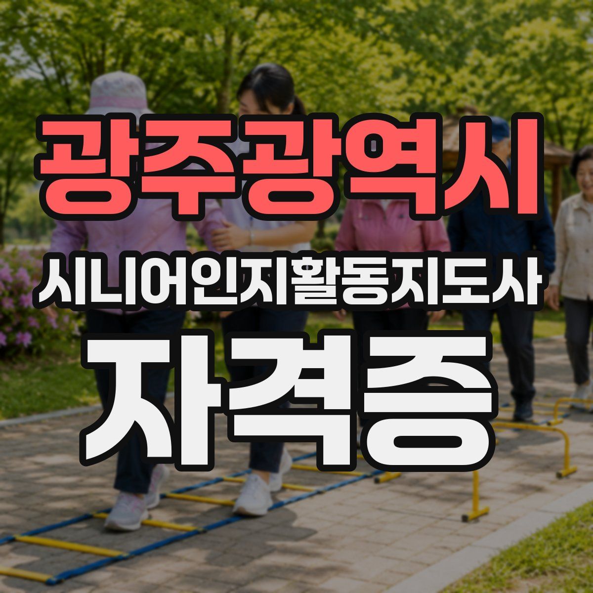 광주광역시 시니어인지활동지도사 자격증