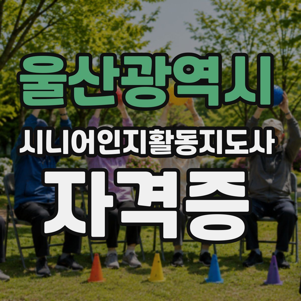 울산광역시 시니어인지활동지도사 자격증