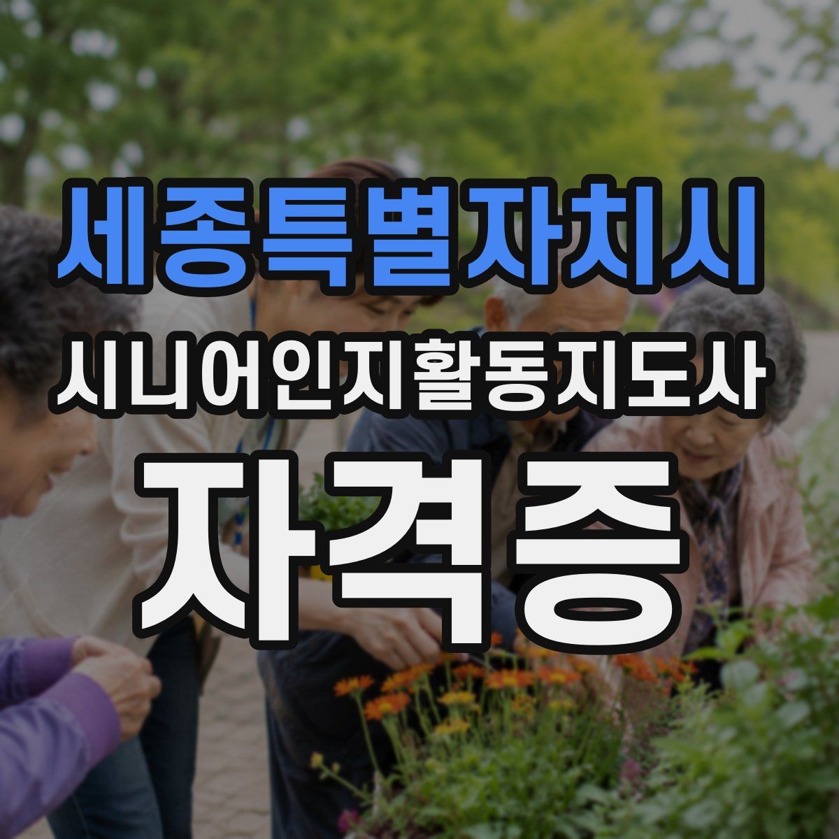 세종특별자치시 시니어인지활동지도사 자격증