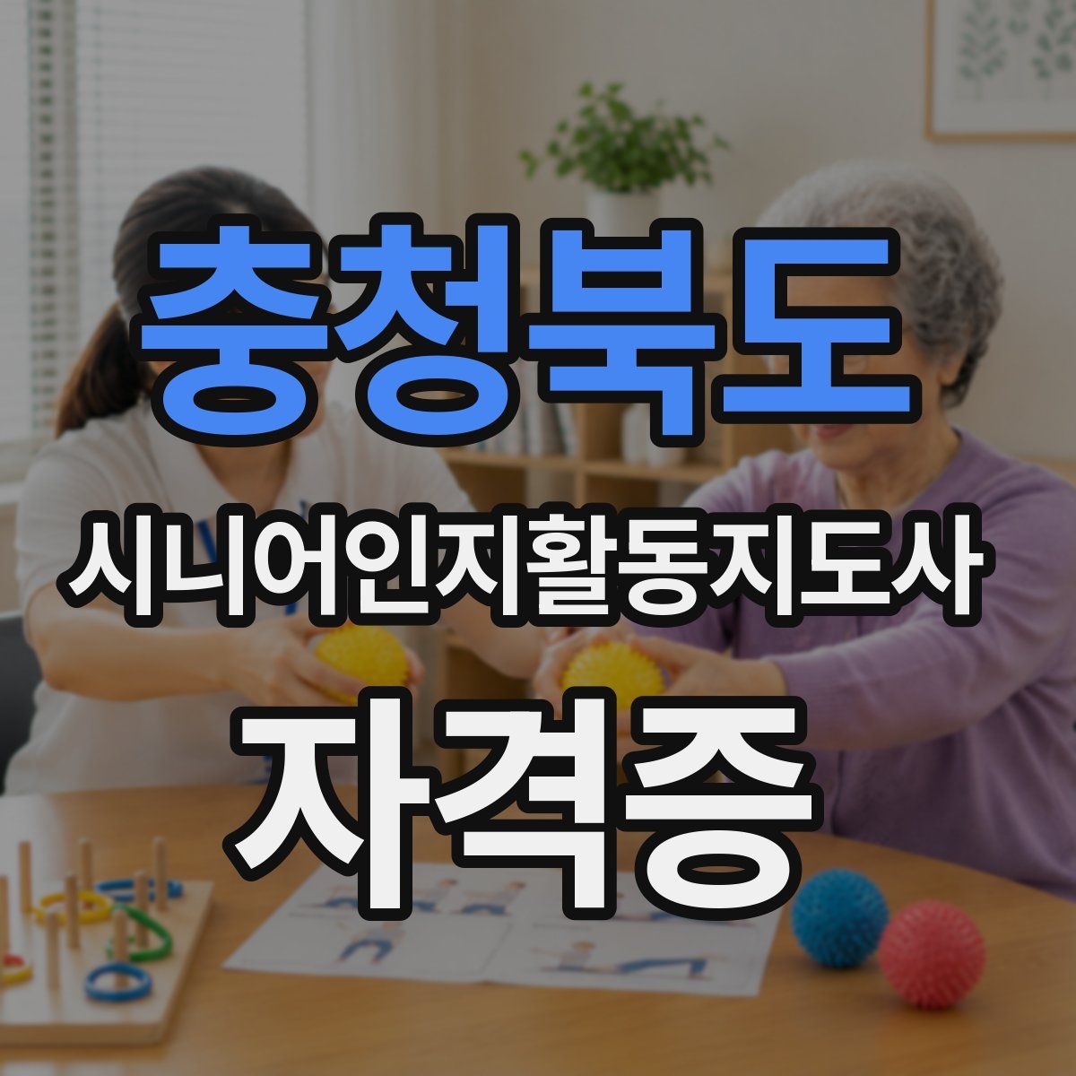 충청북도 시니어인지활동지도사 자격증