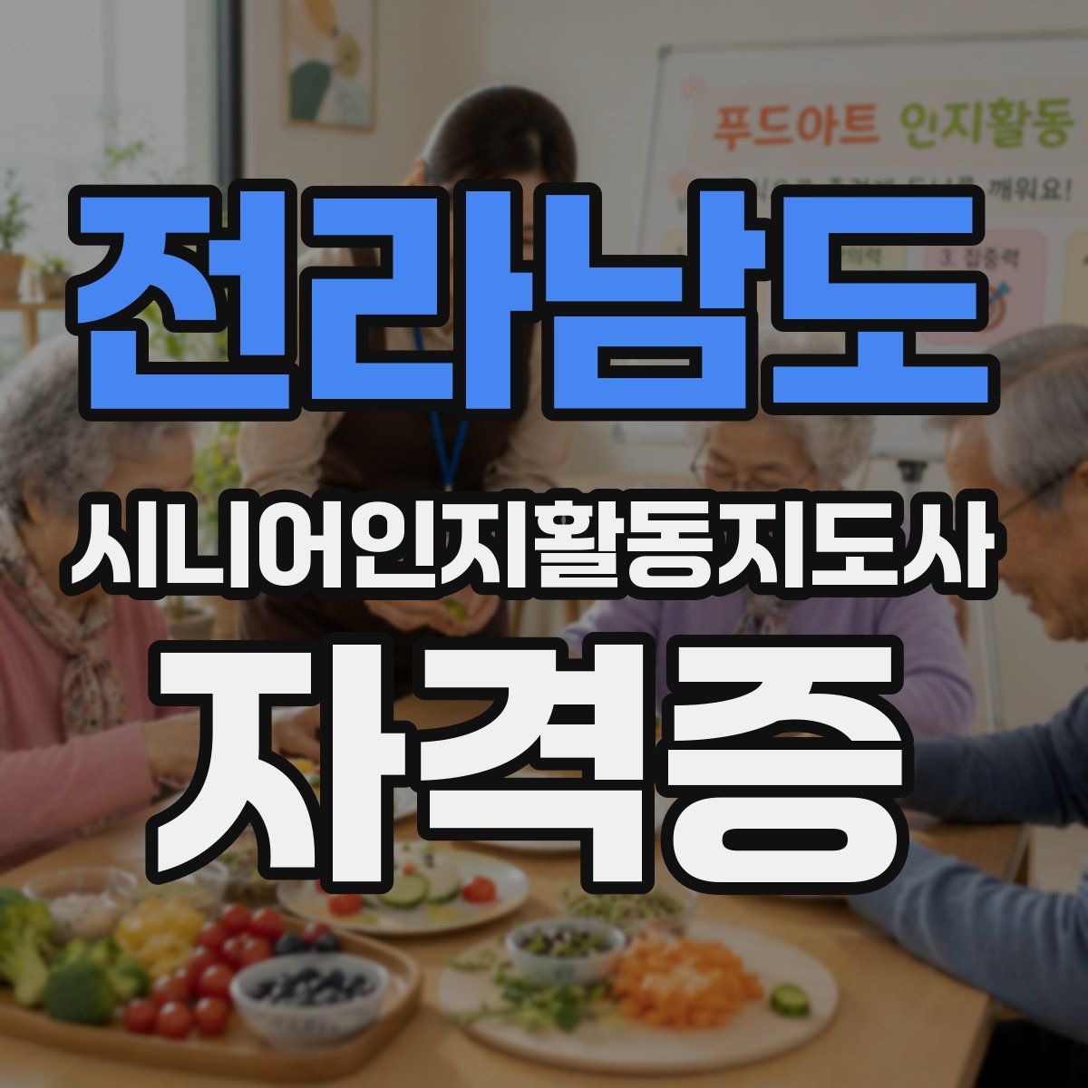 전라남도 시니어인지활동지도사 자격증