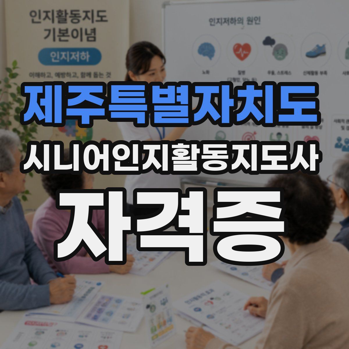 제주특별자치도 시니어인지활동지도사 자격증