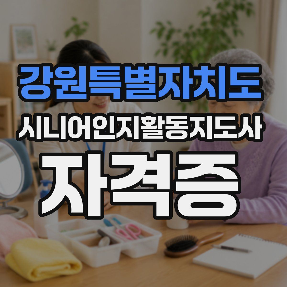 강원특별자치도 시니어인지활동지도사 자격증
