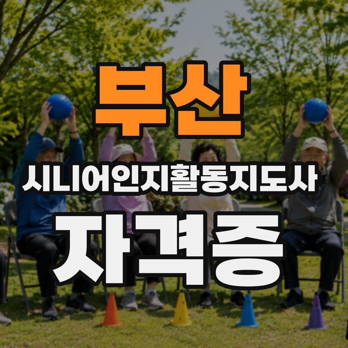 부산 시니어인지활동지도사 자격증
