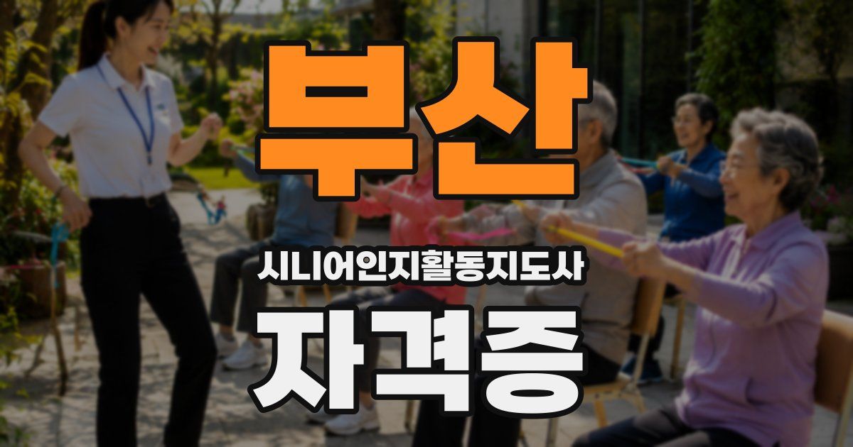 부산 시니어인지활동지도사 자격증