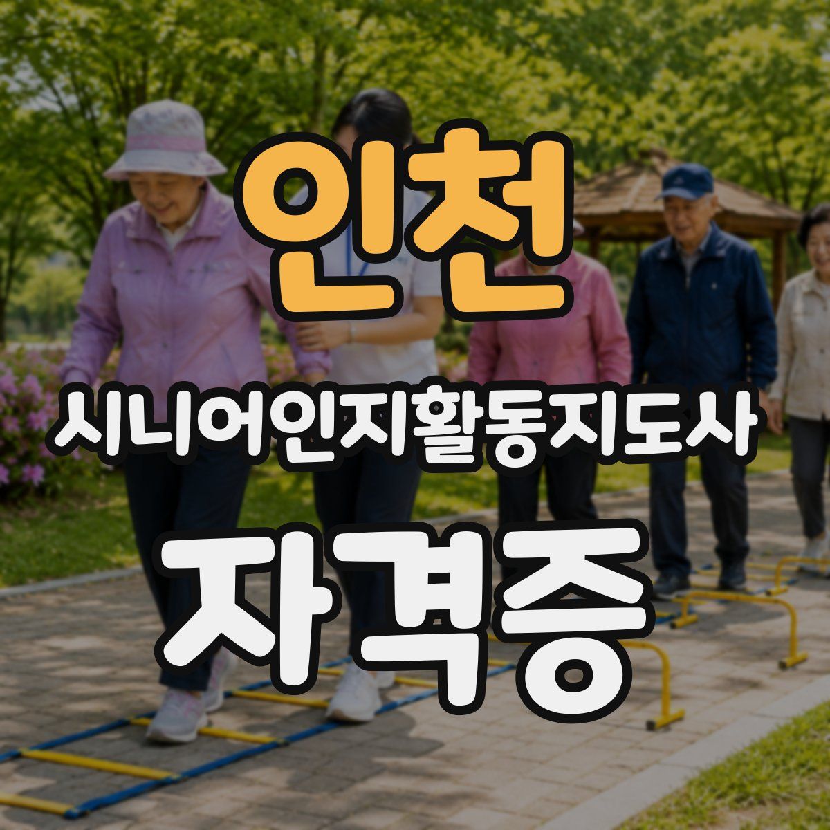 인천 시니어인지활동지도사 자격증