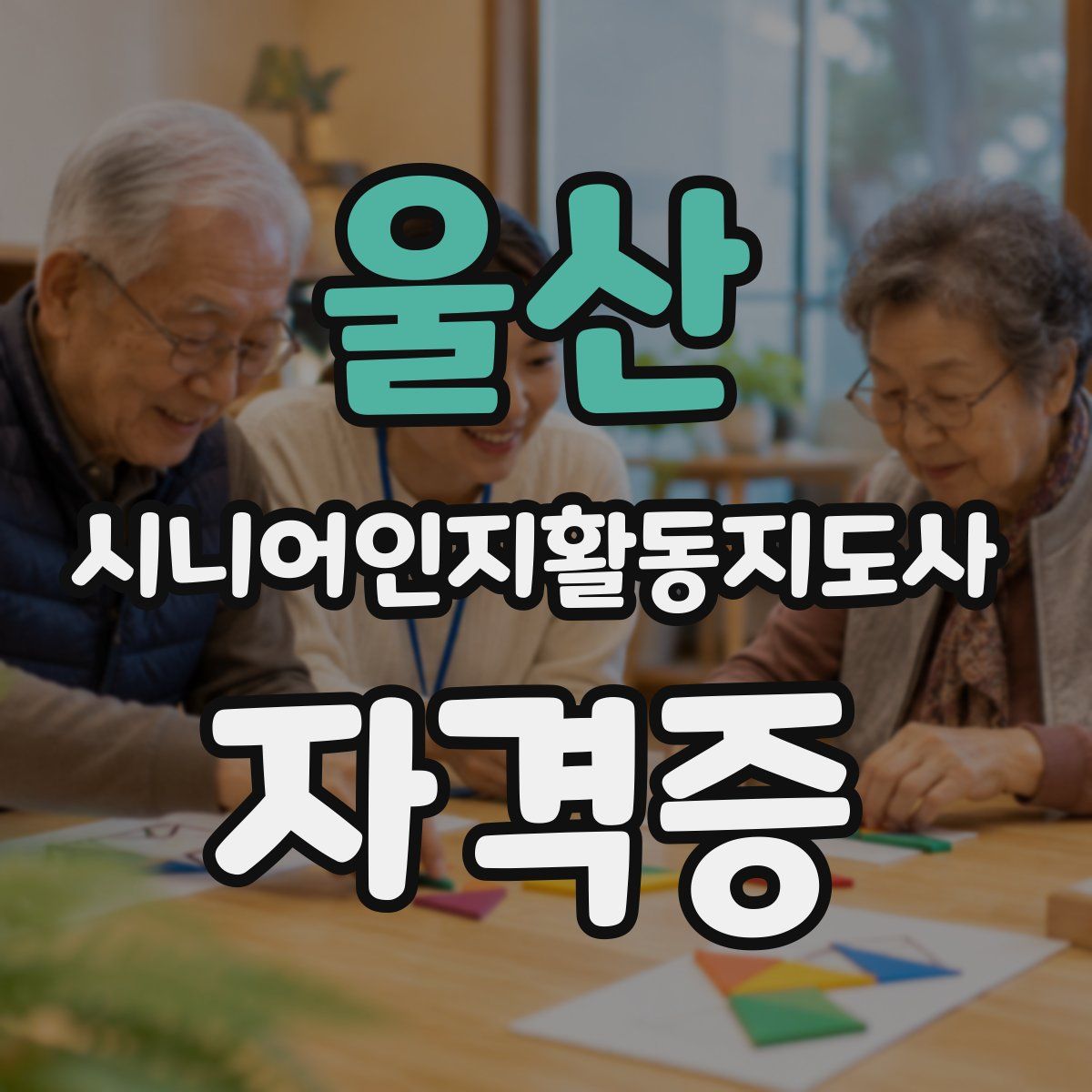 울산 시니어인지활동지도사 자격증