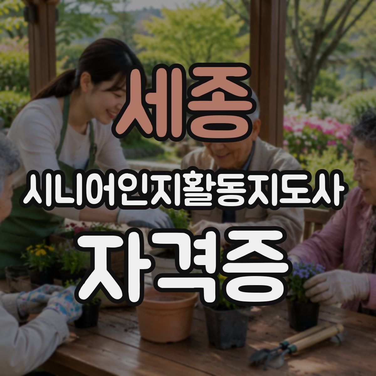 세종 시니어인지활동지도사 자격증