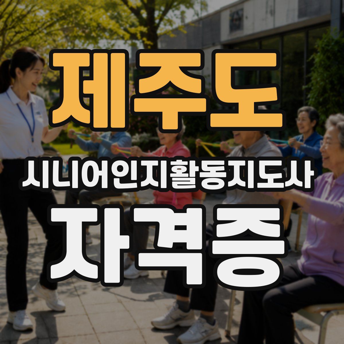 제주도 시니어인지활동지도사 자격증