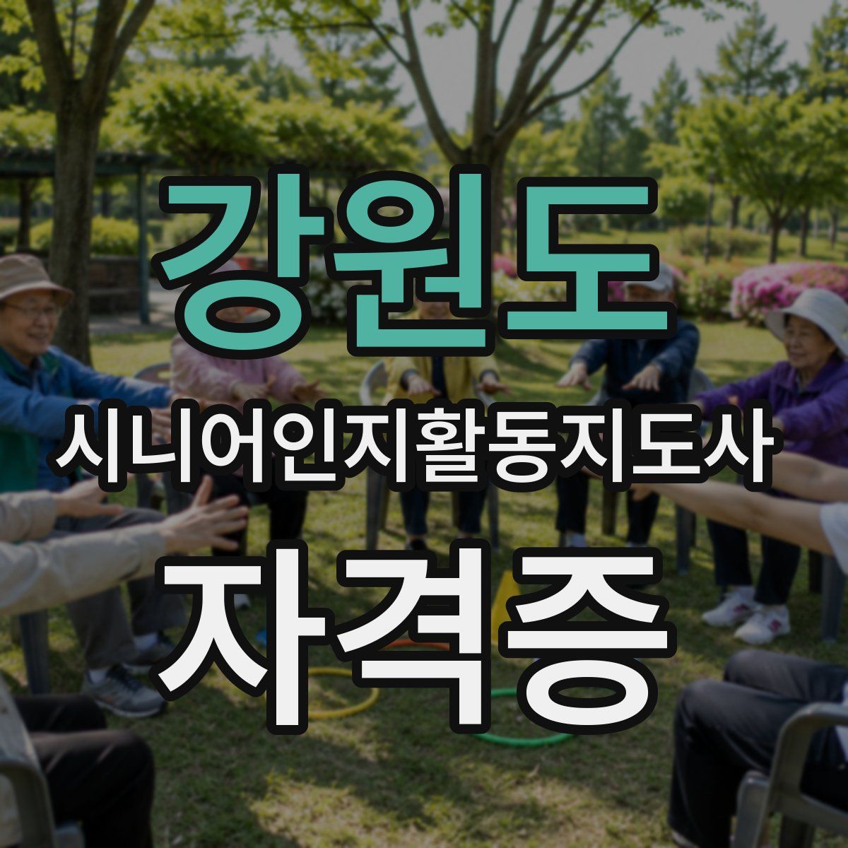 강원도 시니어인지활동지도사 자격증