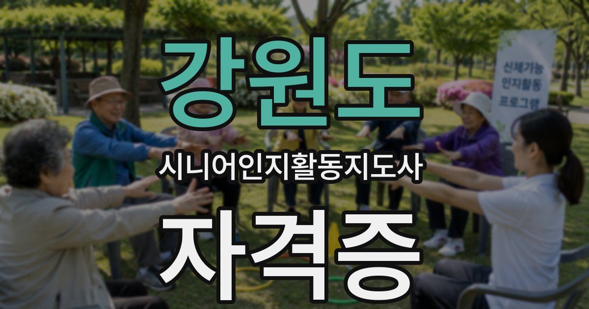 강원도 시니어인지활동지도사 자격증
