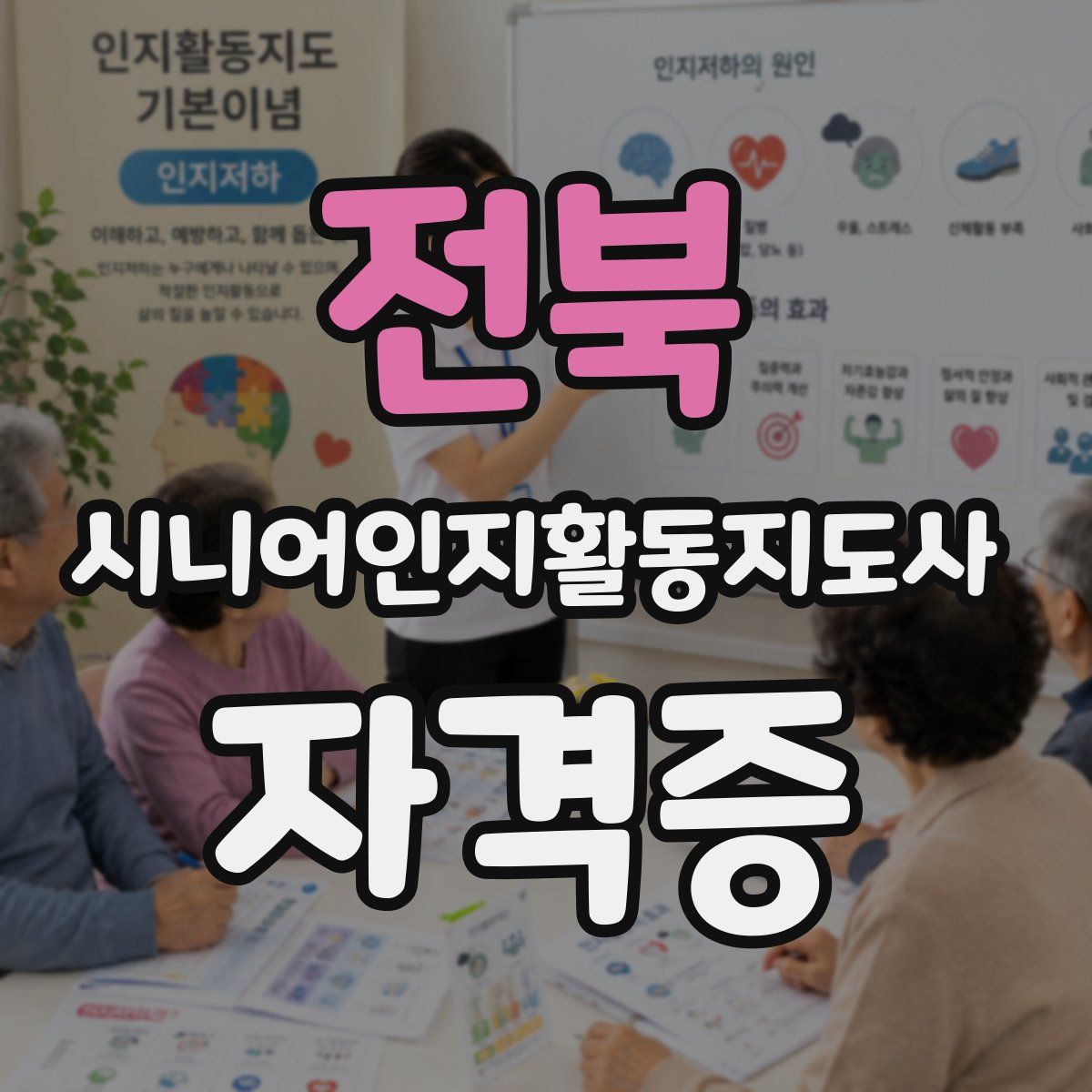 전북 시니어인지활동지도사 자격증