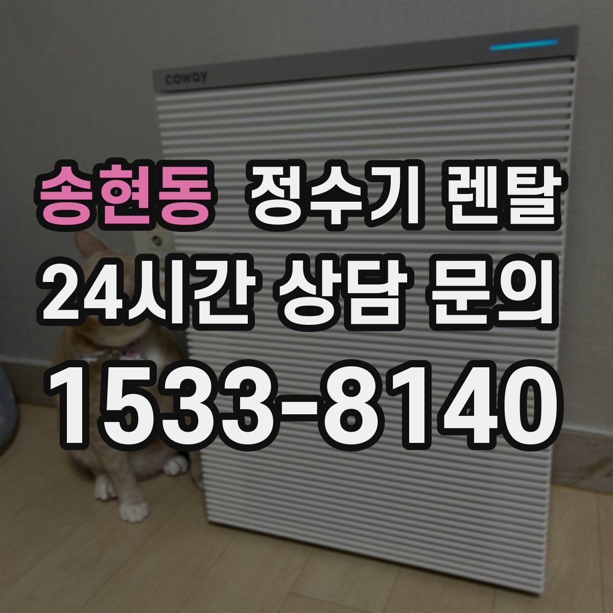 송현동 정수기 렌탈 코크 살균 기능이 실사용에 유리한 이유