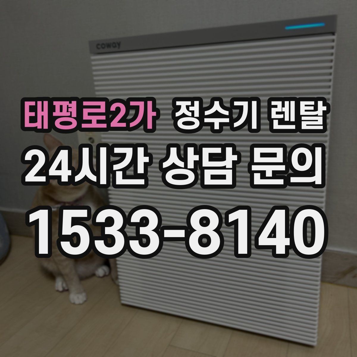 태평로2가 정수기 렌탈 미니멀 주방에 어울리는 슬림형 선택 팁