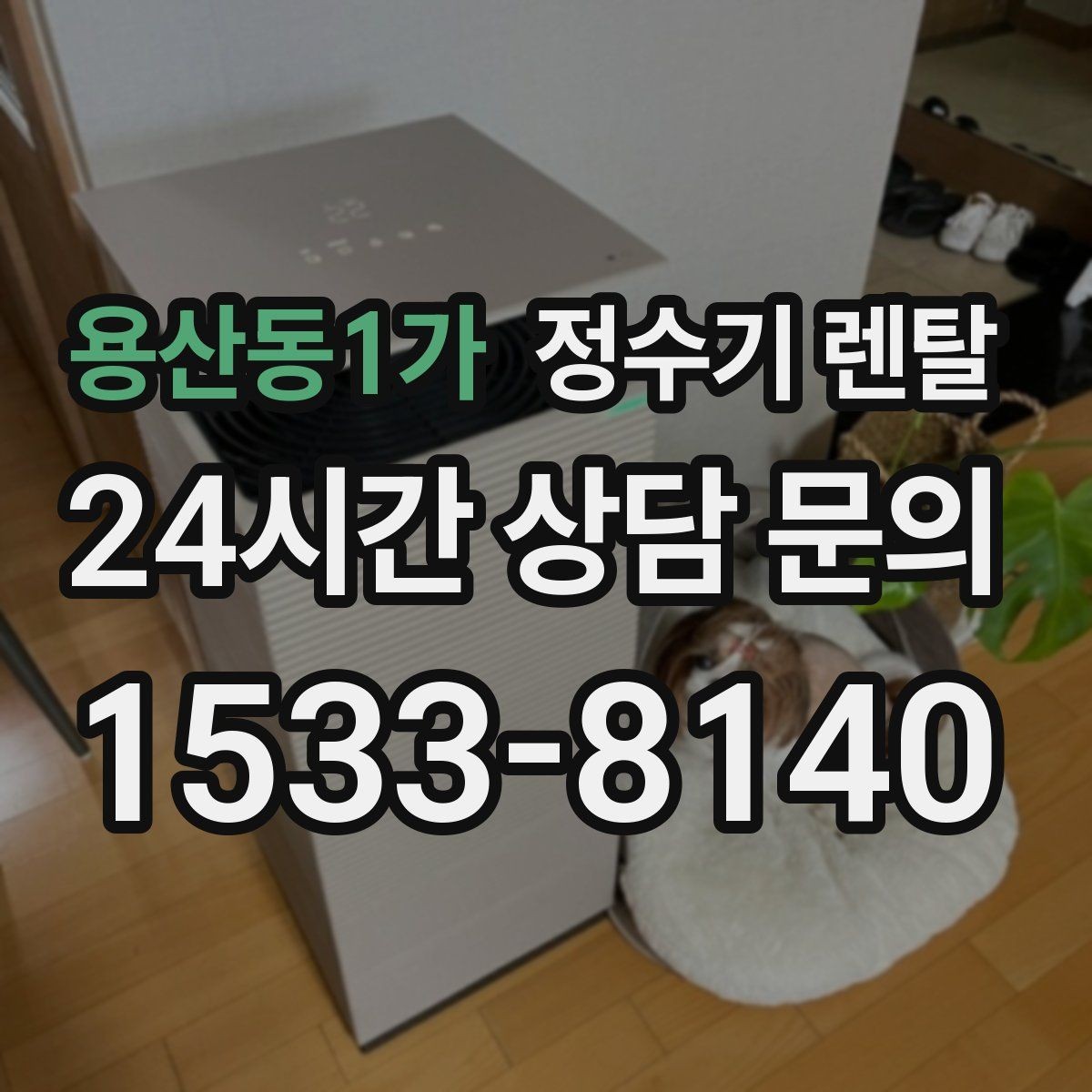 용산동1가 정수기 렌탈 주방이 좁아도 설치 가능한 모델 고르는 법