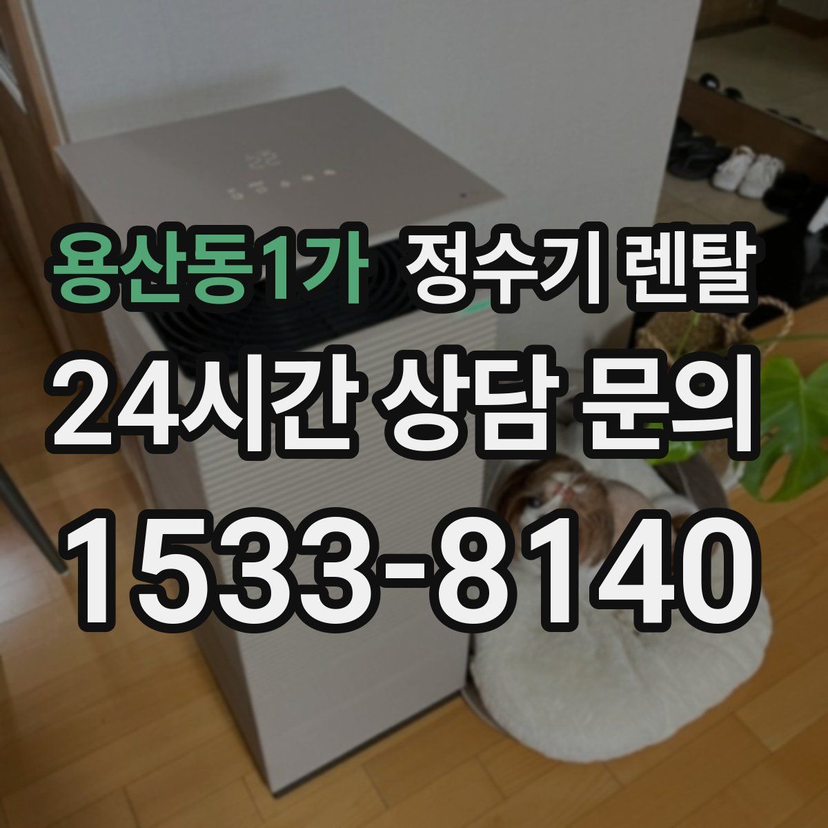 용산동1가 정수기 렌탈