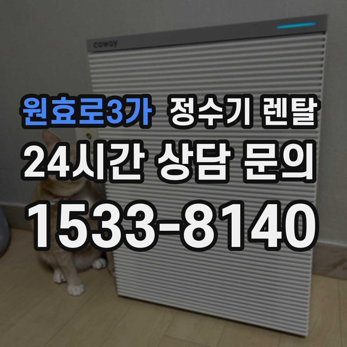 원효로3가 정수기 렌탈 설치 후 바로 사용해도 될까