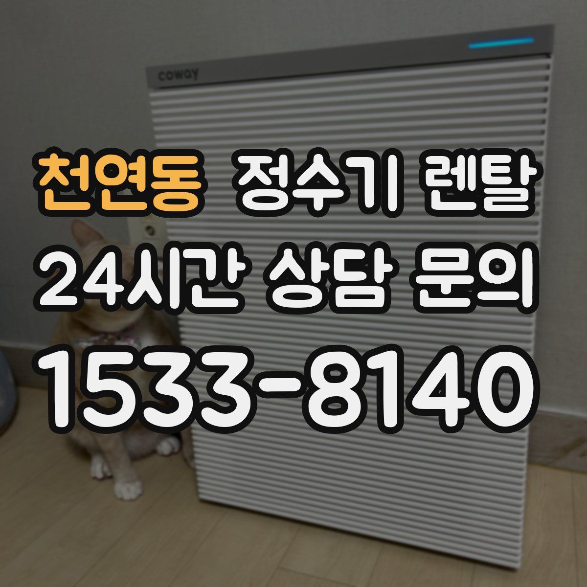 천연동 정수기 렌탈