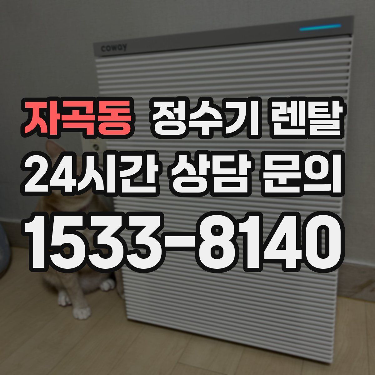 자곡동 정수기 렌탈
