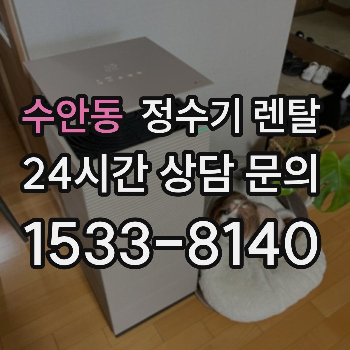 수안동 정수기 렌탈 이전 설치 비용이 달라지는 이유
