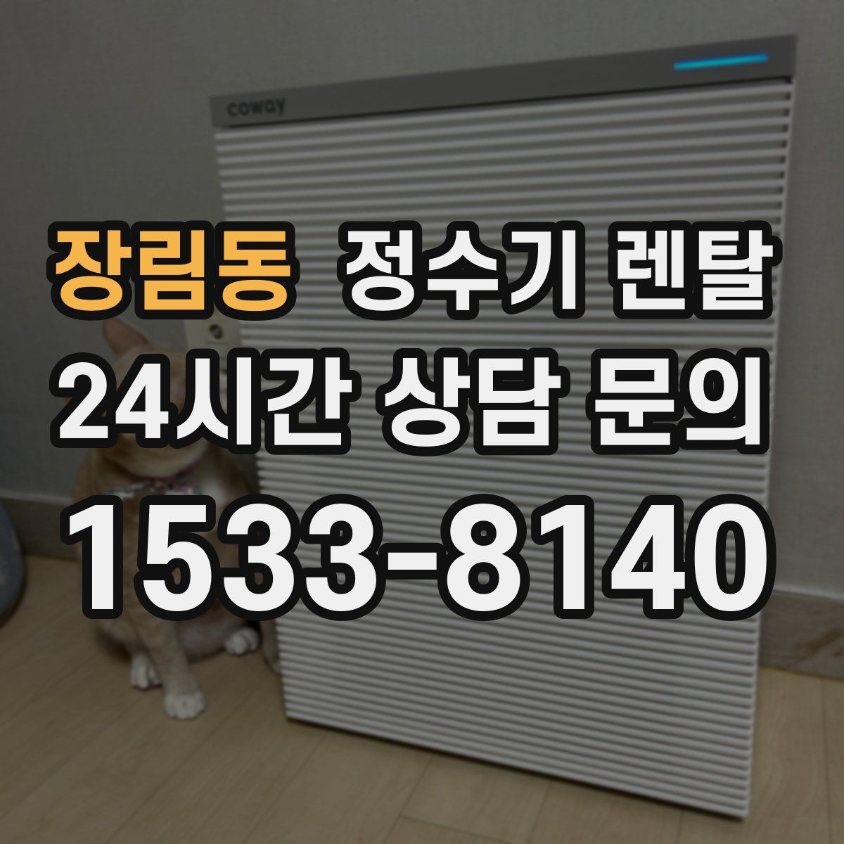 장림동 정수기 렌탈 겨울철 냉수 기능을 덜 써도 관리가 필요한 이유