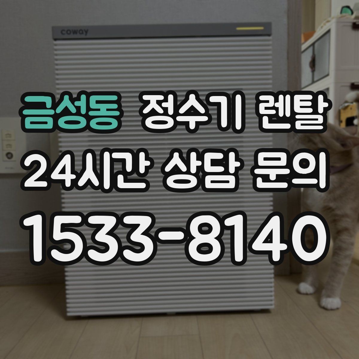 금성동 정수기 렌탈 물맛이 달라지는 이유와 해결 팁