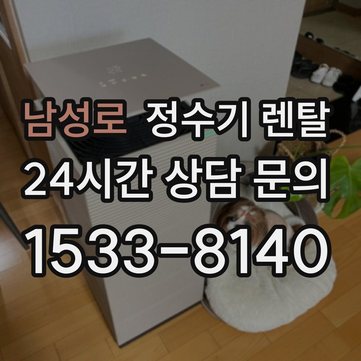 남성로 정수기 렌탈 정수 전용이 더 좋은 경우 정리