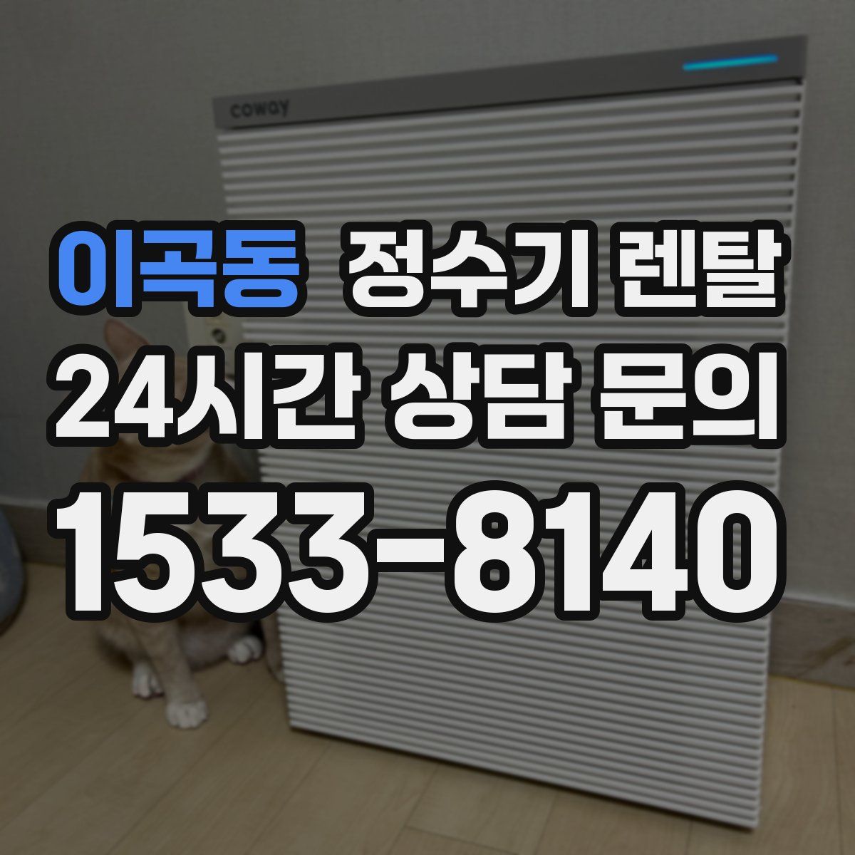 이곡동 정수기 렌탈