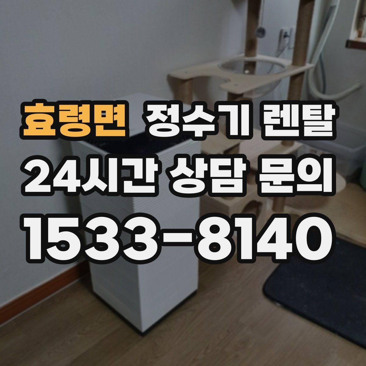 효령면 정수기 렌탈 조작이 단순한 제품이 부모님 댁에 좋은 이유