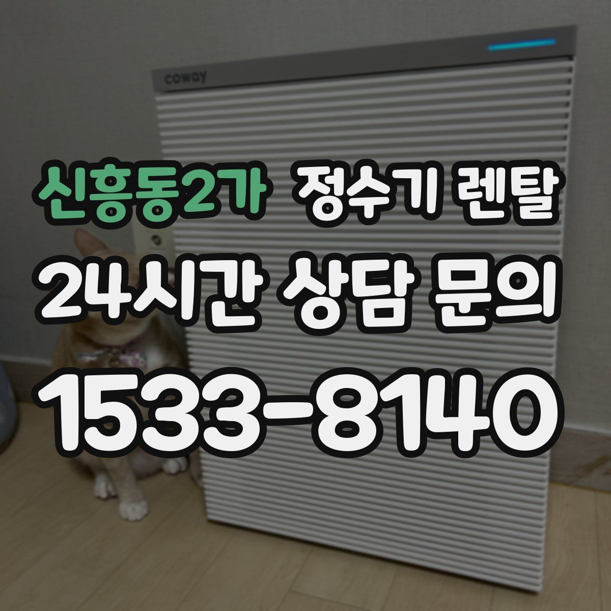 신흥동2가 정수기 렌탈